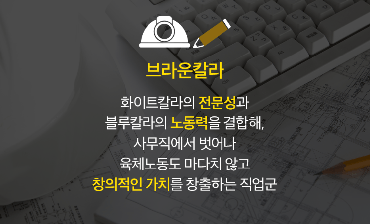 브라운칼라란? 노동과 전문성을 융합한 미래의 직업군