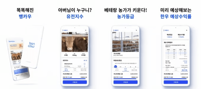 한우에 투자해서 돈번다! '뱅카우'가 열어가는 새로운 가축 투자 시대