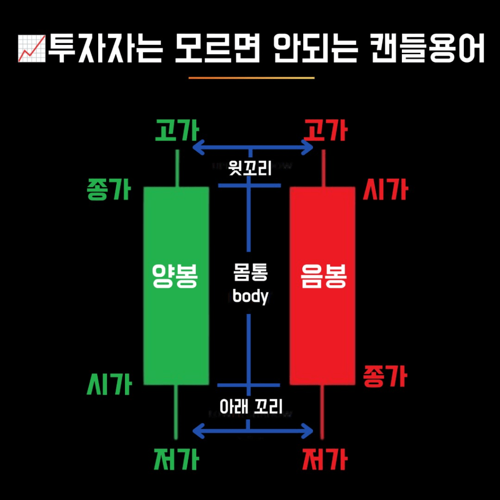 캔들차트 완전정복! 초보도 이해하는 양봉·음봉·꼬리 해석법 - bull