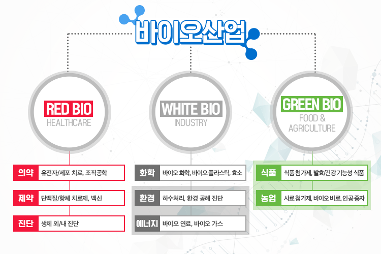 바이오란? 뜻, 의미, 바이오 주식 섹터와 미국·한국 관련주 총정리 바이오란? 뜻, 의미, 바이오 주식 섹터와 미국·한국 관련주 총정리