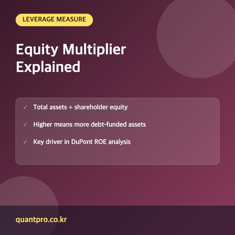 Equity multiplier key facts thumbnail