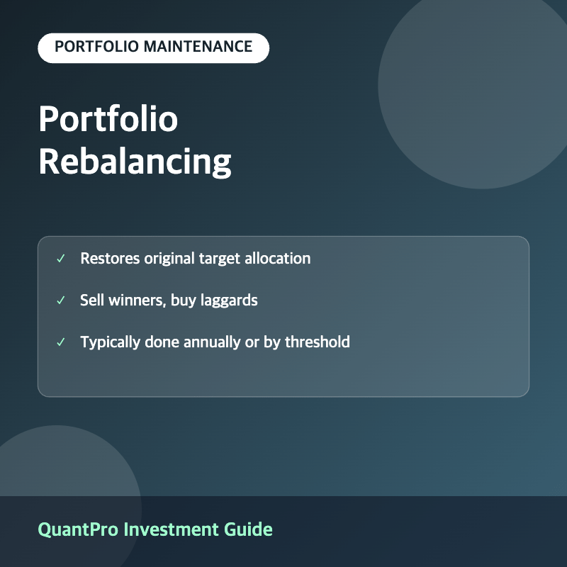 Portfolio rebalancing thumbnail with key facts