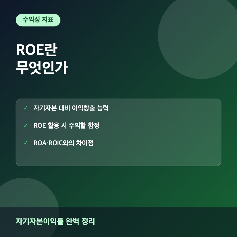 ROE 자기자본이익률 개념과 계산법 이미지