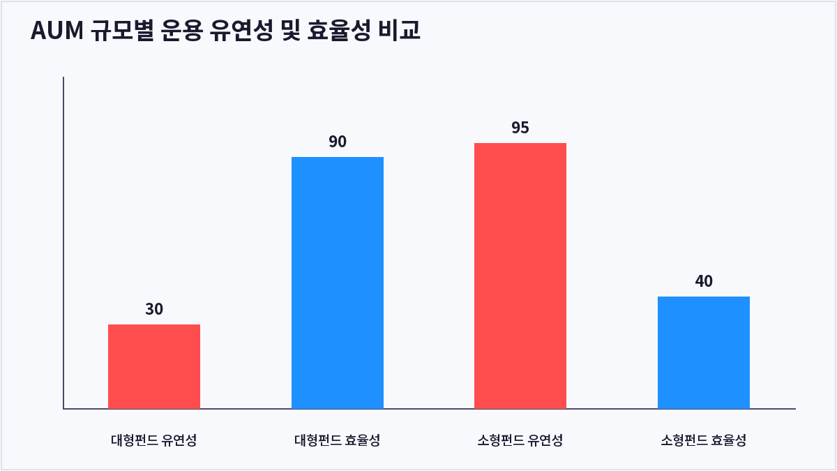 AUM 규모별 운용 유연성 및 효율성 비교 (AUM)