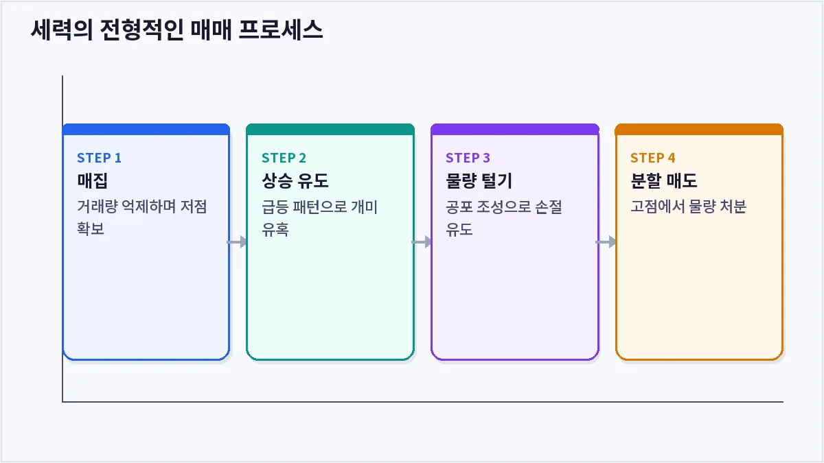 세력의 전형적인 매매 프로세스 (개미 세력 주식)