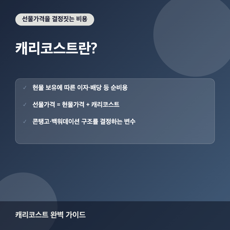캐리코스트란? 썸네일 이미지