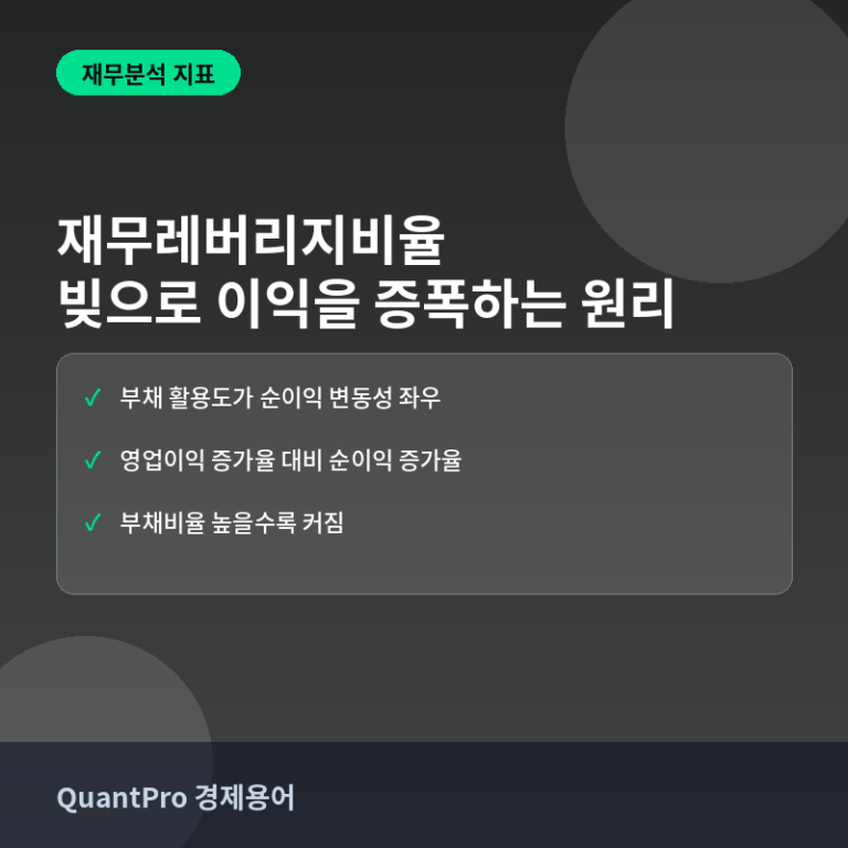 재무레버리지비율이란? 빚으로 이익을 증폭시키는 원리 썸네일