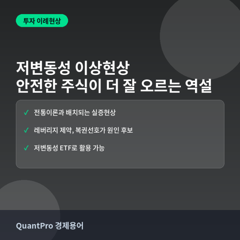 저변동성 이상현상이란? 안전한 주식이 오히려 더 잘 오르는 역설 썸네일
