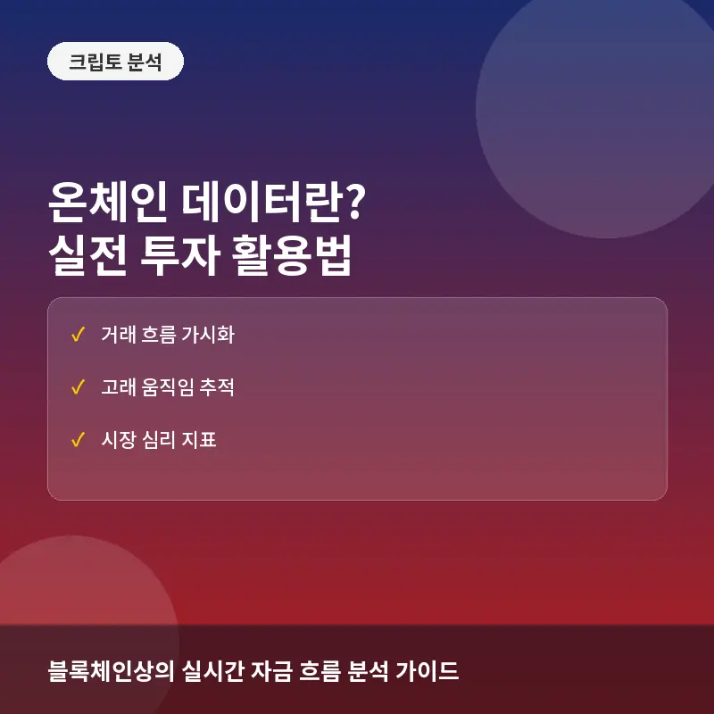 온체인 데이터란? 비트코인 투자 활용법과 주요 지표 분석