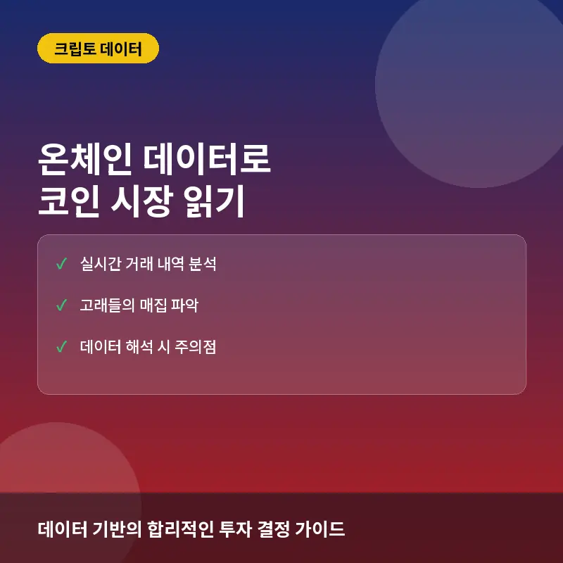 온체인 데이터란? 뜻과 코인 투자 활용법 및 주의사항