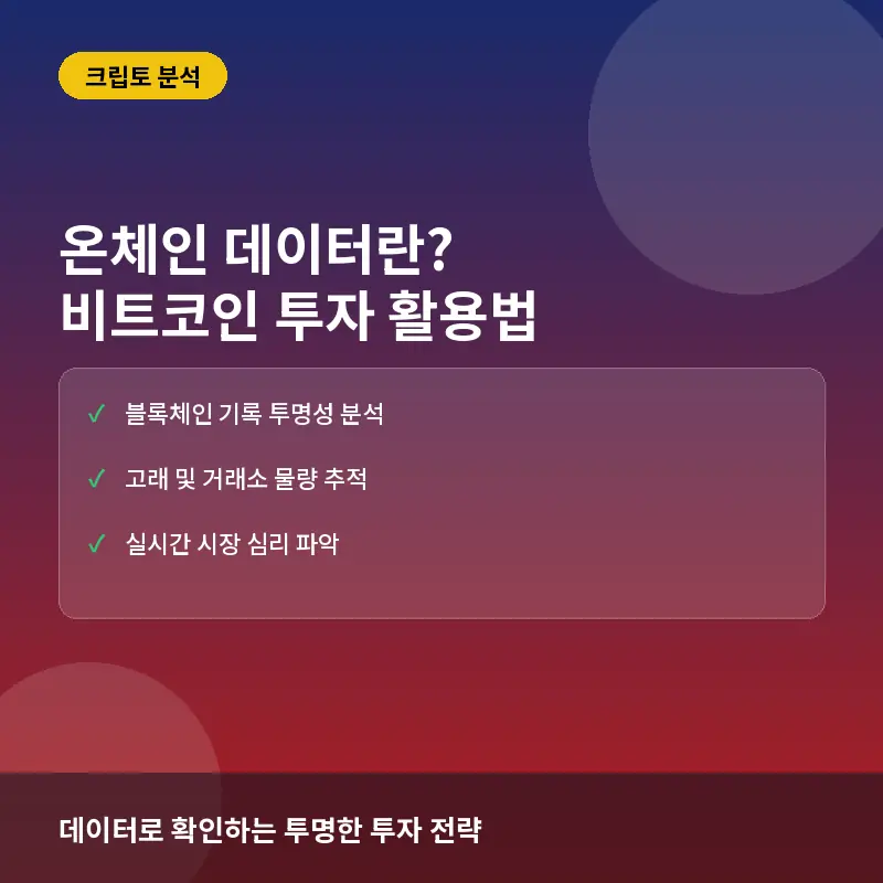 온체인 데이터란? 비트코인 투자 활용법과 실전 분석 지표