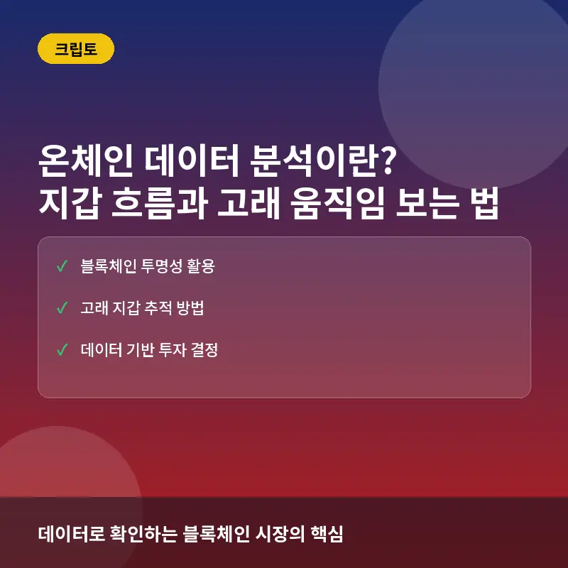 온체인 데이터 분석이란? 지갑 흐름과 고래 움직임 보는 법