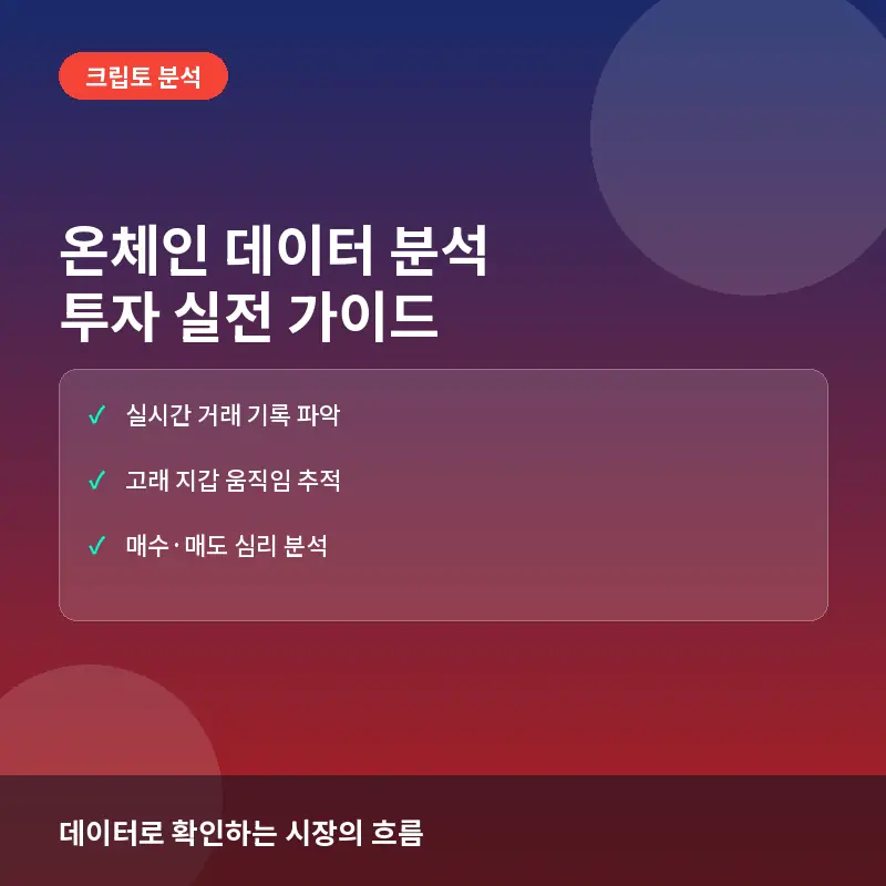 온체인 데이터란? 비트코인 투자 시 분석 방법과 실전 활용