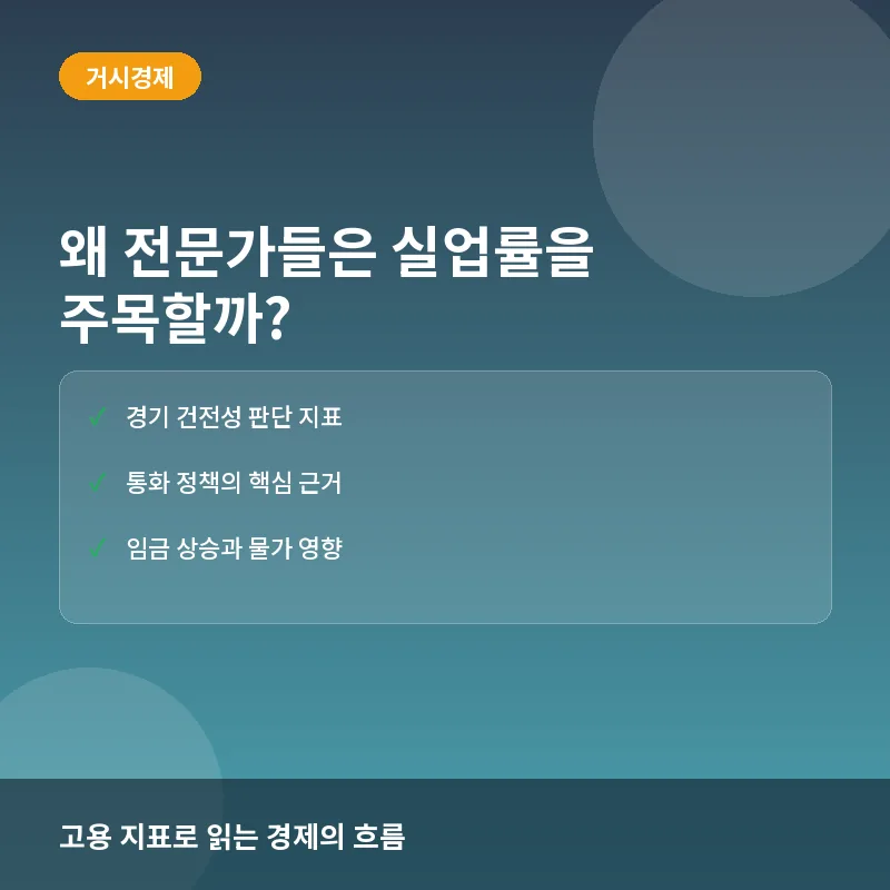 왜 전문가들은 실업률을 주목할까? 경기 침체와 금리 정책 판단 기준