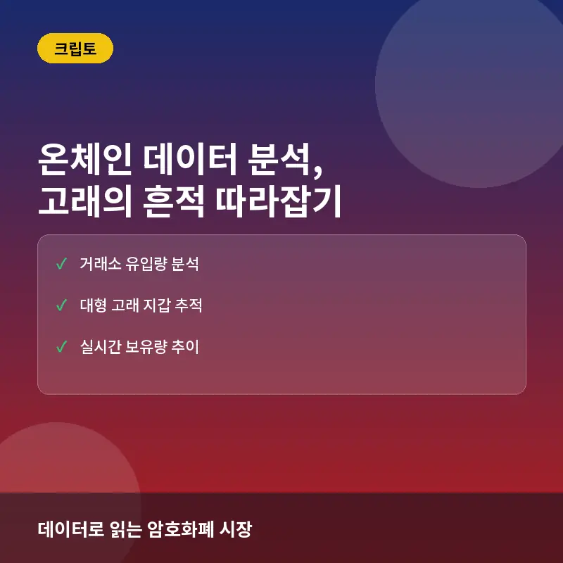 온체인 데이터 분석, 지금 활용해도 될까? 고래 움직임으로 읽는 시장의 진실