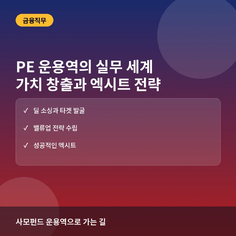 PE 운용역 - PE(사모펀드) 운용역의 실무 세계: 가치 창출과 엑시트 전략