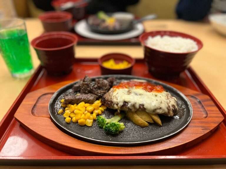 다카야마 Hida beef dish