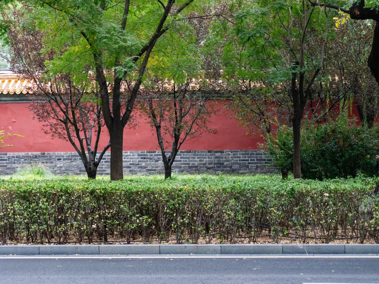 난뤄구샹의 전통 후통 골목을 따라 이어진 활기찬 상점들과 카페의 모습입니다.