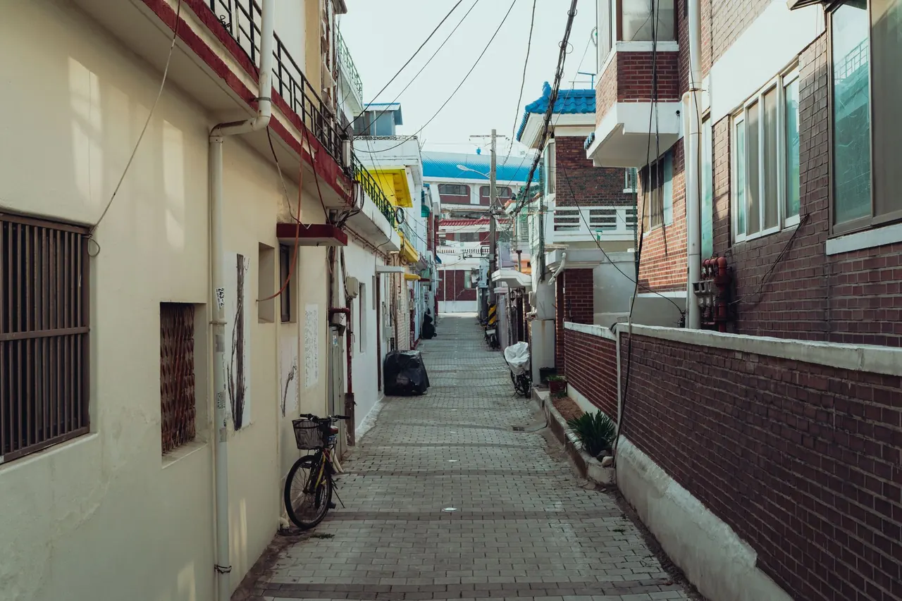 지동 벽화마을의 아기자기한 골목길은 수원의 정겨운 옛 모습을 사진에 담기 좋은 곳입니다.