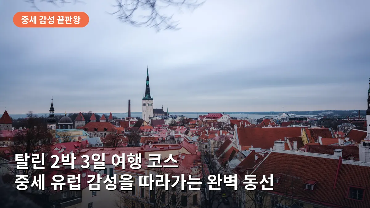 툼페아 언덕에서 내려다본 탈린 올드타운의 붉은 지붕과 성벽이 어우러진 전경입니다.