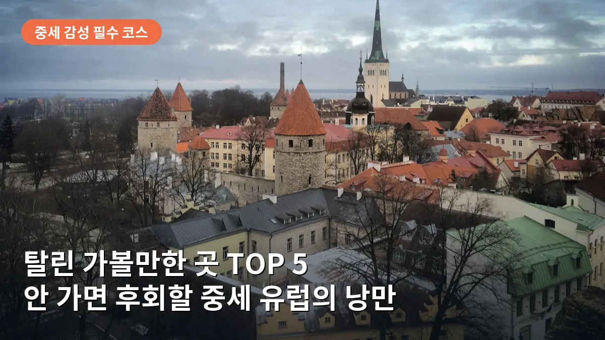 탈린의 툼페아 언덕에서 바라본 올드타운의 붉은 지붕과 성벽이 어우러진 파노라마 뷰입니다.