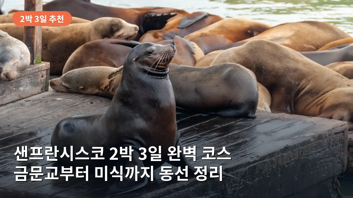 샌프란시스코 2박 3일 여행 코스: 금문교부터 미식 탐방까지 알짜배기 동선 정복기
