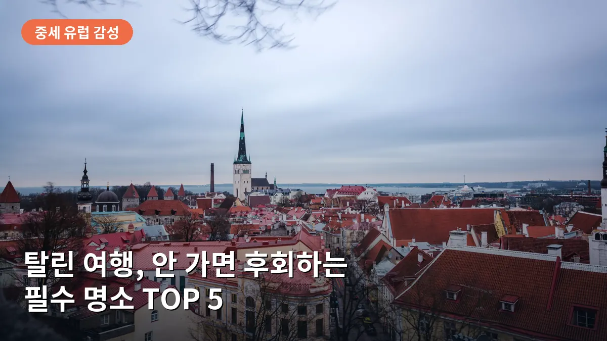 탈린 올드타운의 붉은 지붕과 중세 첨탑이 어우러진 툼페아 언덕에서 내려다본 풍경입니다.