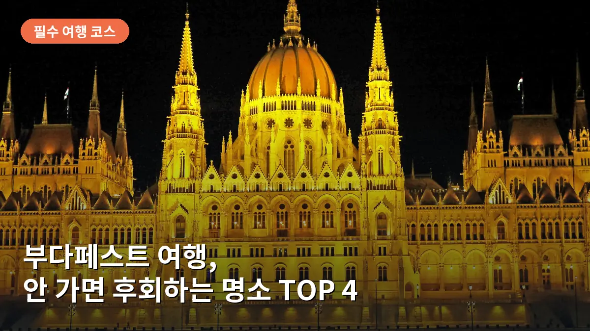 다뉴브 강변에서 바라본 헝가리 국회의사당의 화려한 야경 모습입니다.