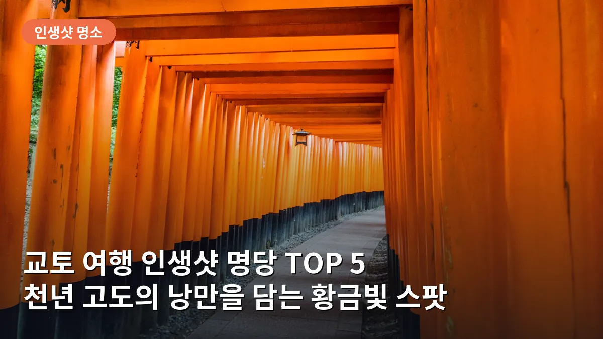 교토 후시미 이나리 신사의 끝없이 이어지는 붉은 도리이 터널로, 빛이 들어오는 시간대에 찍으면 신비로운 분위기가 연출됩니다.