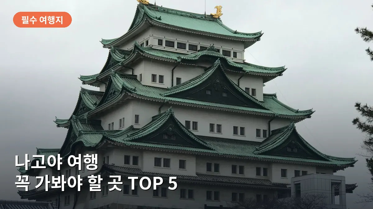 나고야성의 랜드마크인 천수각과 화려한 금빛 샤치호코가 푸른 하늘과 대비되는 모습입니다.