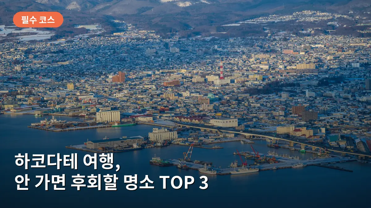하코다테 산 전망대에서 내려다본 화려한 야경 모습입니다.