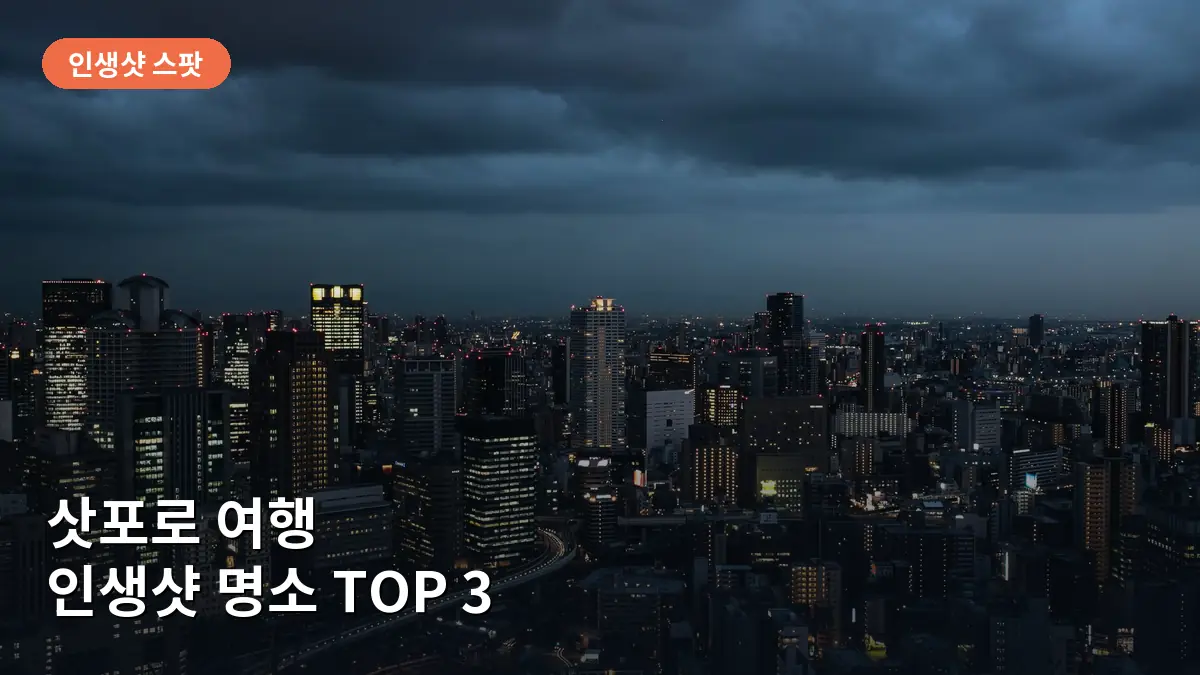 모이와야마 전망대에서 내려다본 삿포로 시내의 화려한 야경 모습입니다.