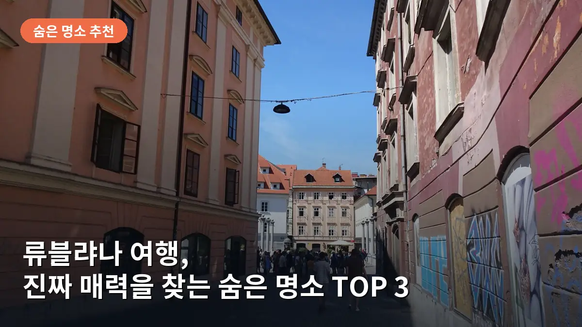 류블랴나의 개성 넘치는 예술 거리인 메텔코바의 모습입니다.