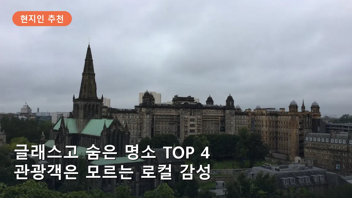 글래스고 넥크로폴리스에서 내려다본 도시의 탁 트인 전경입니다.