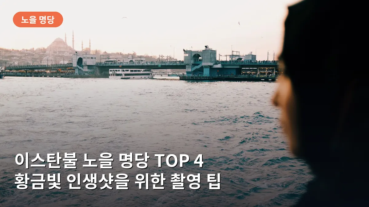 이스탄불 갈라타 다리 위에서 보스포루스 해협 너머로 지는 노을을 바라보는 모습입니다.