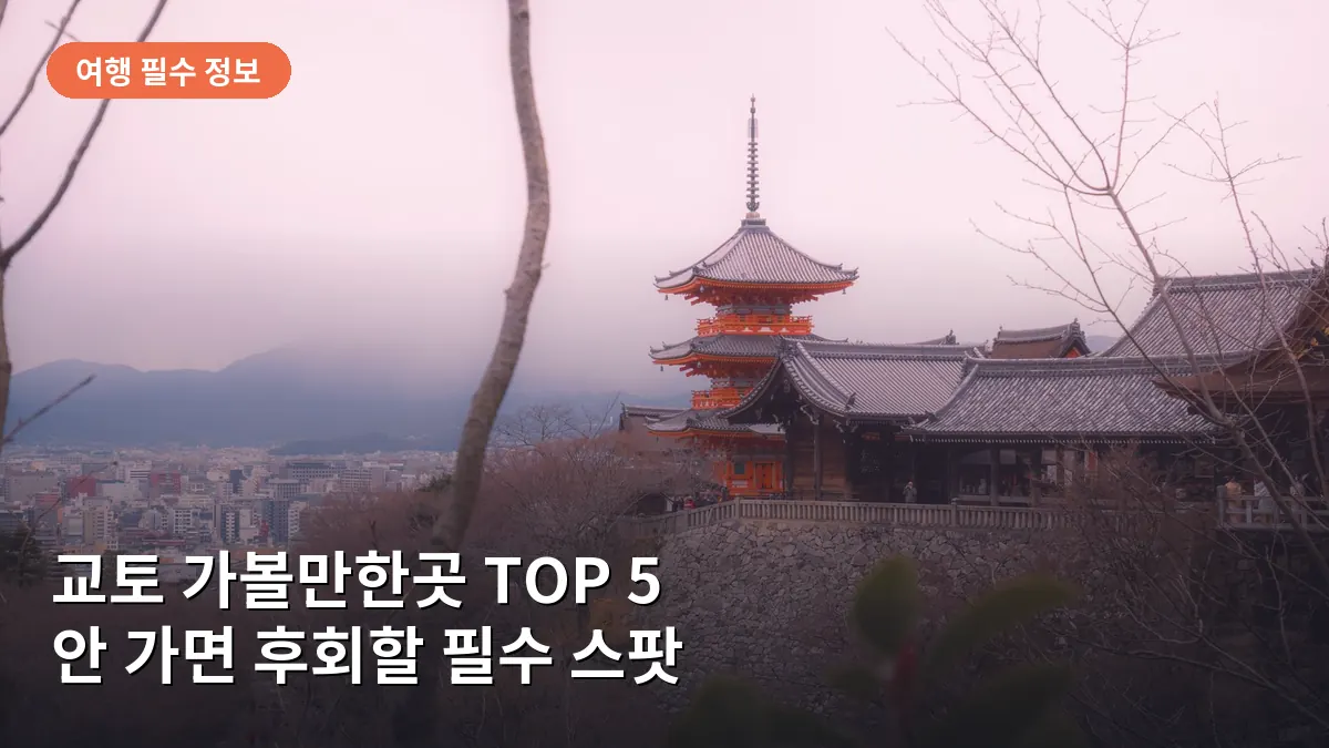 교토 기요미즈데라의 이른 아침 풍경으로, 고즈넉하고 평온한 사찰의 분위기를 담았습니다.