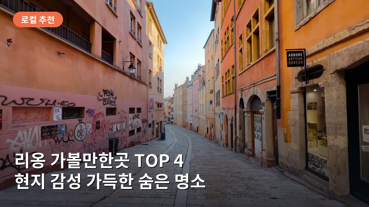리옹 크루아 루스 언덕의 좁고 고풍스러운 골목길 풍경입니다.