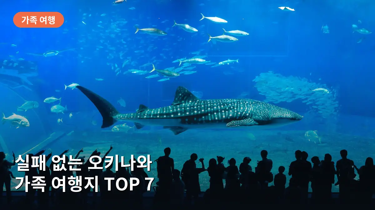 오키나와 아이와 함께 가기 좋은 곳 TOP 7, 가족 여행 동선 및 필수 준비물 가이드
