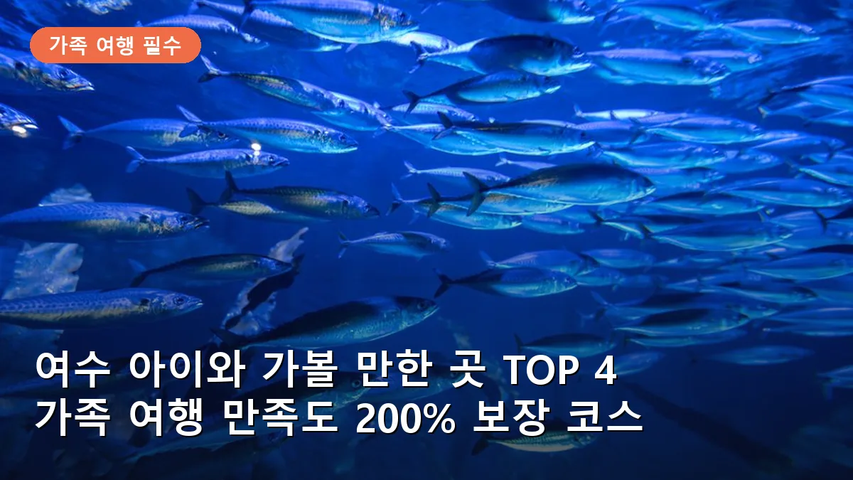 여수 아이와 가볼 만한 곳 TOP 4: 가족 여행 만족도 200% 보장하는 필수 코스