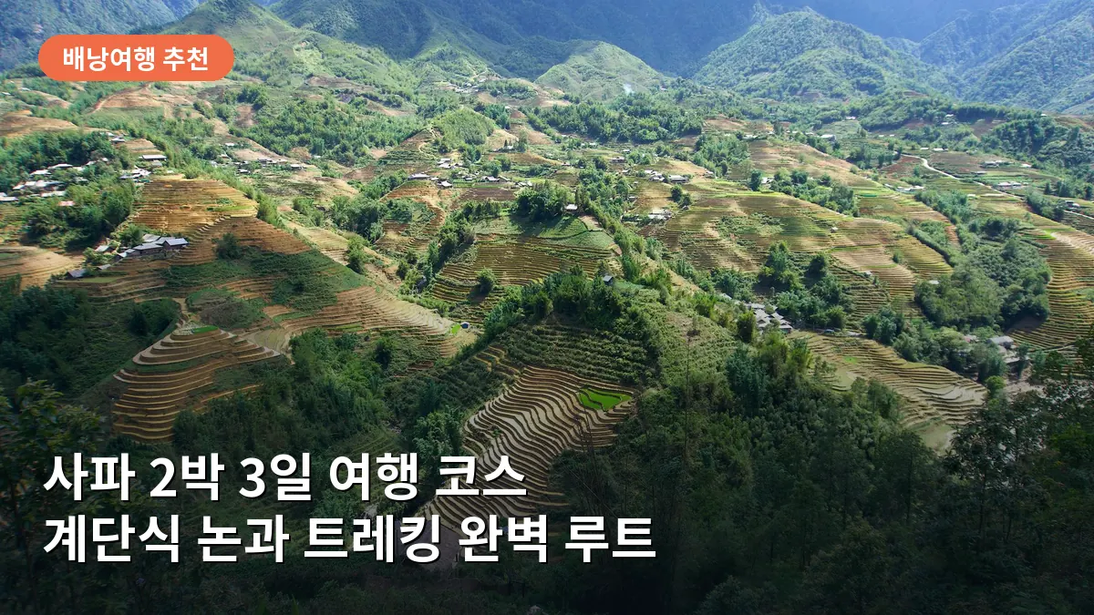 사파의 상징인 계단식 논이 끝없이 펼쳐진 장관입니다.