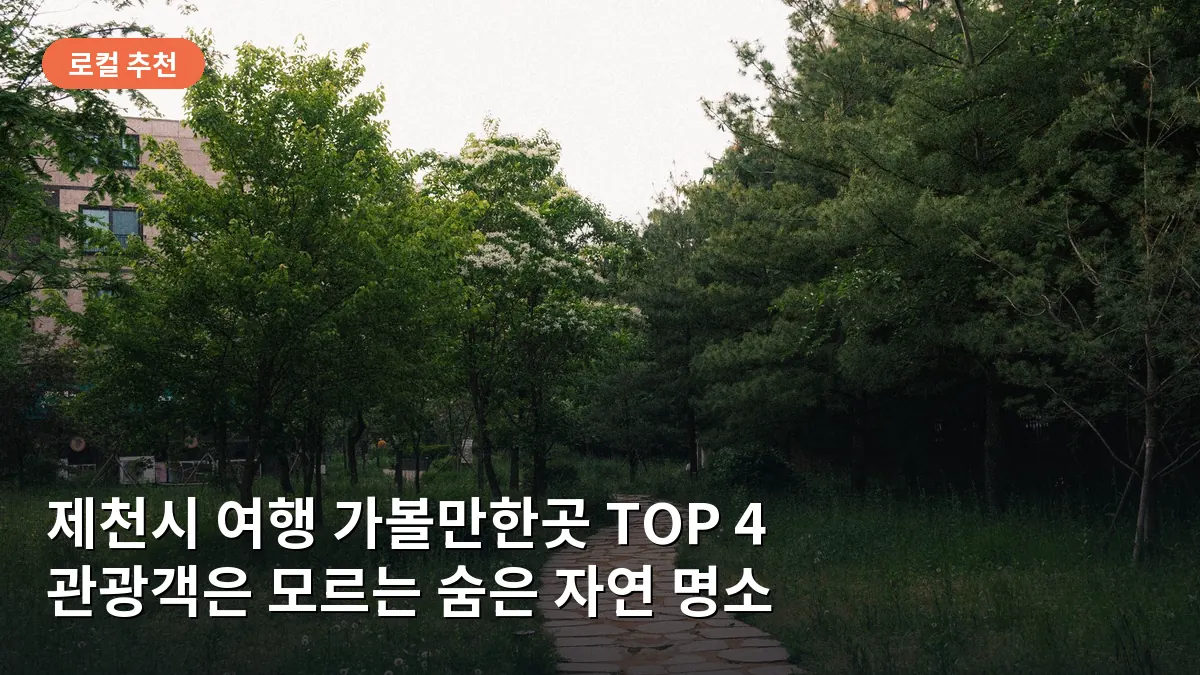 제천시 배론성지의 울창한 숲길로, 고즈넉한 분위기에서 조용히 사색하며 걷기 좋은 산책로를 보여줍니다.