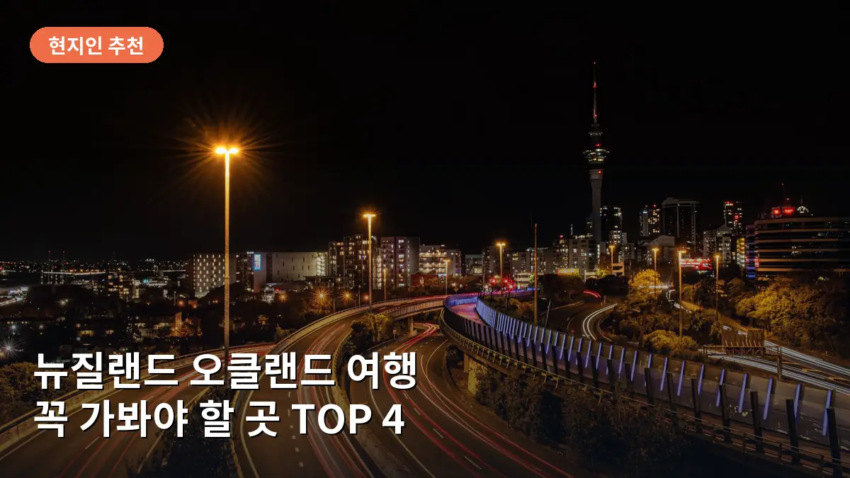 오클랜드의 야경을 상징하는 스카이 타워와 스카이라인의 모습입니다.