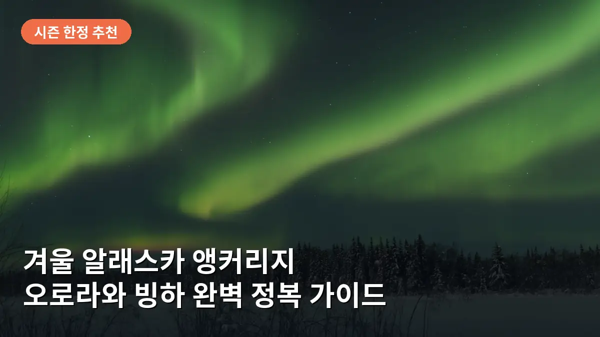 겨울밤 알래스카 하늘을 수놓는 선명한 오로라의 모습입니다.