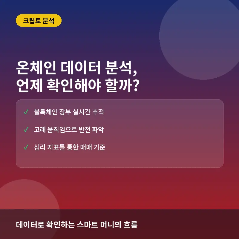 온체인 데이터 분석, 코인 투자 시 언제 확인해야 할까? 주요 지표와 실전 활용법