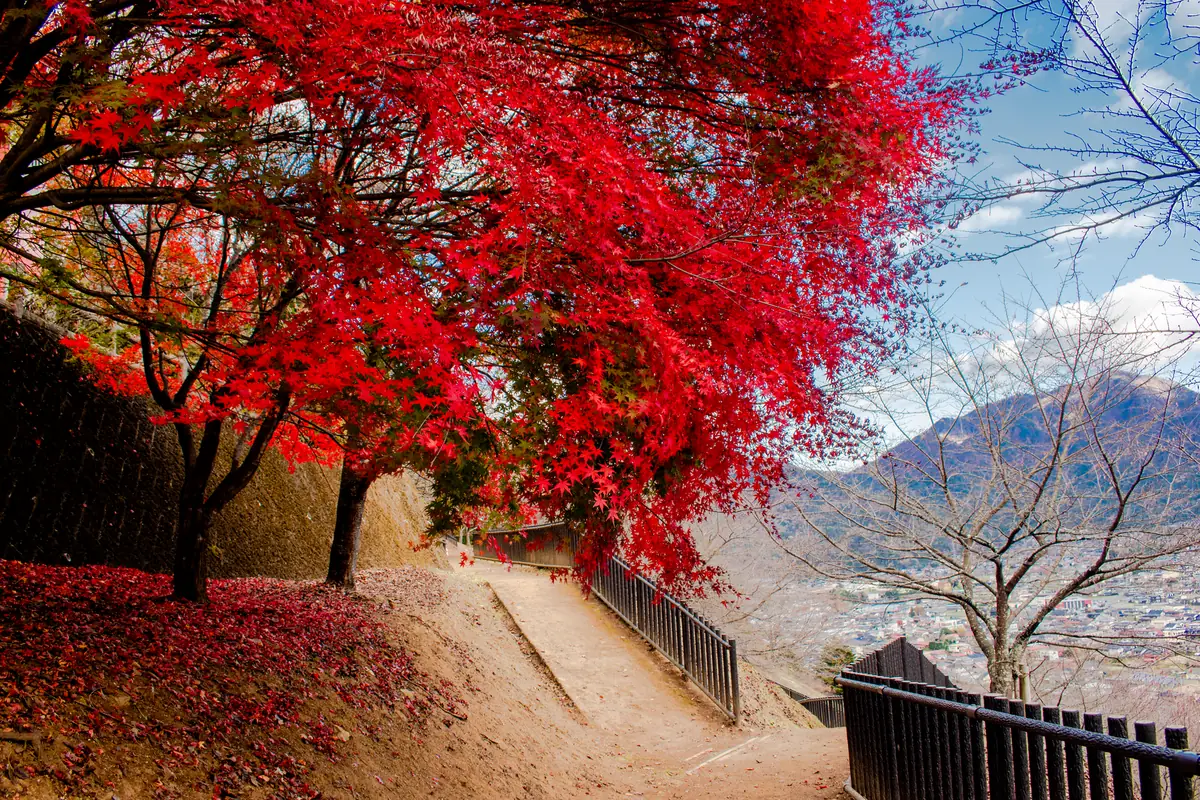 단풍으로 유명한 소요산의 아름다운 산책로 모습입니다.