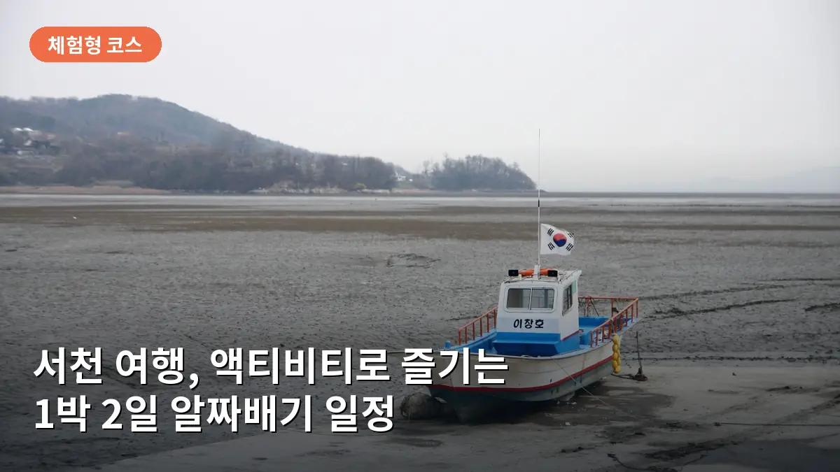 서해안의 광활한 갯벌에서 조개 캐기 체험을 즐기는 여행객들의 모습입니다.